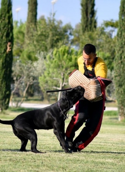 12/09/2020 Grosseto Guadalajara dei Grausi supera il CAL 2