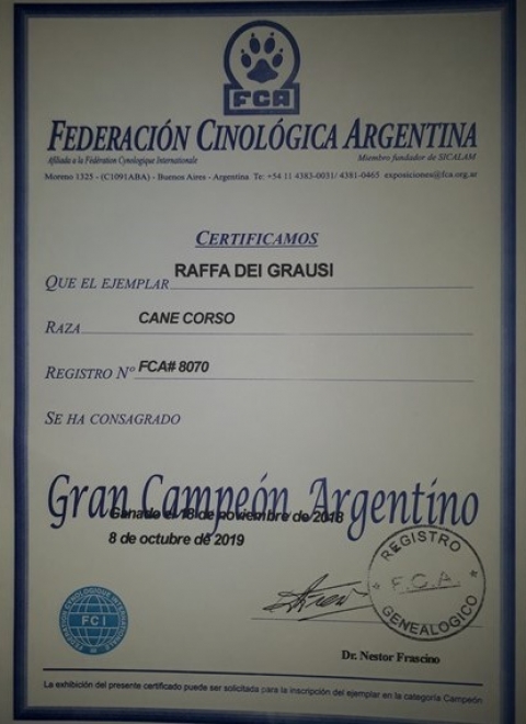 Raffa dei Grausi Gran Campione Argentino