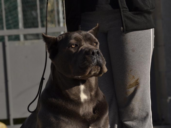 BRIGITTA AKA SKY