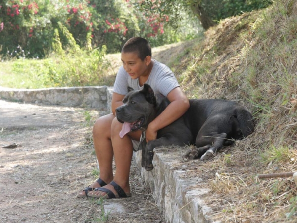bambini e cane corso-sky